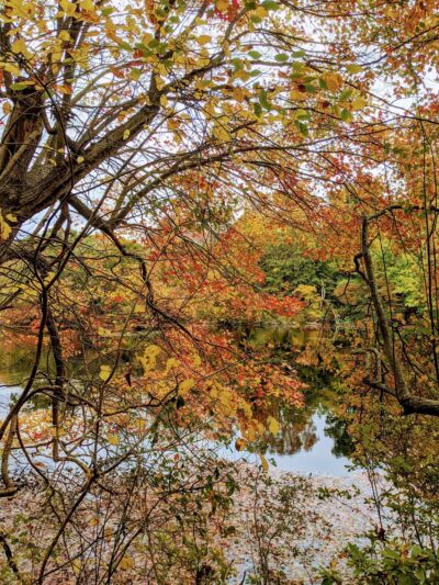 Trout Pond Park - Sag Harbor, NY