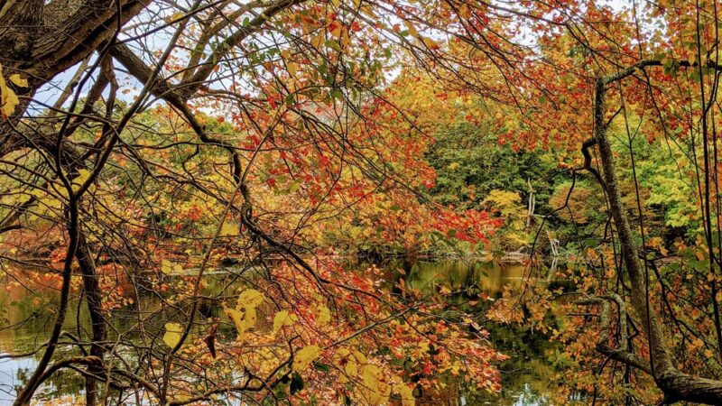 Trout Pond Park - Sag Harbor, NY