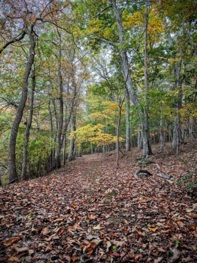 Trout Pond Park - Sag Harbor, NY