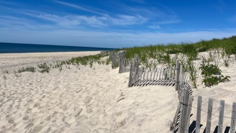 Sagg Main Beach - Sagaponack, NY