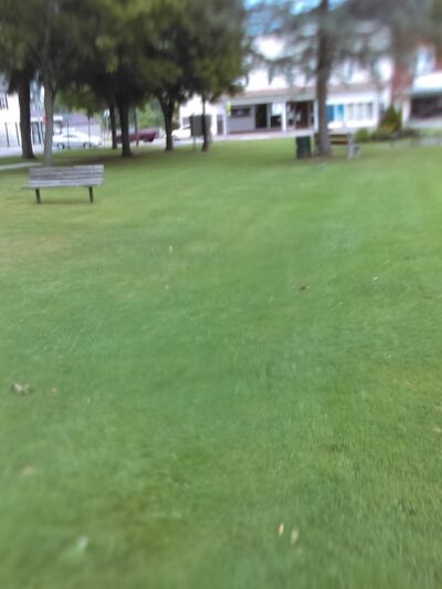 . Jefferson Street Park - Salamanca, NY