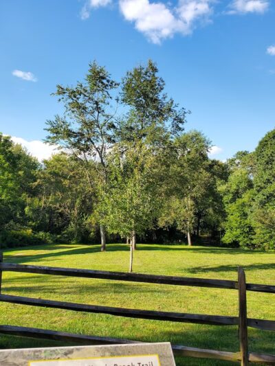 Salem Multipurpose Trail - Salem, CT