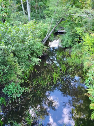 Salem Multipurpose Trail - Salem, CT