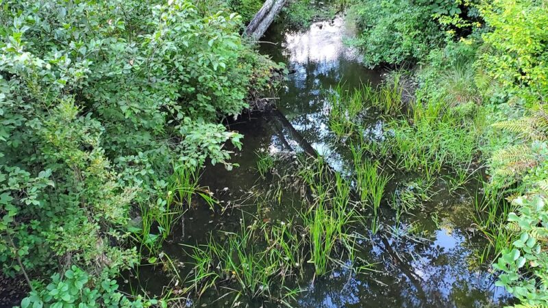 Salem Multipurpose Trail - Salem, CT