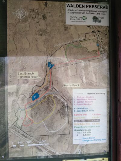 Walden Preserve - Salem, CT