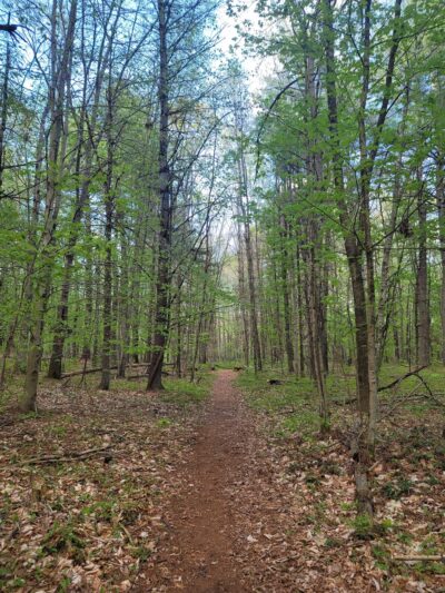 Walden Preserve - Salem, CT