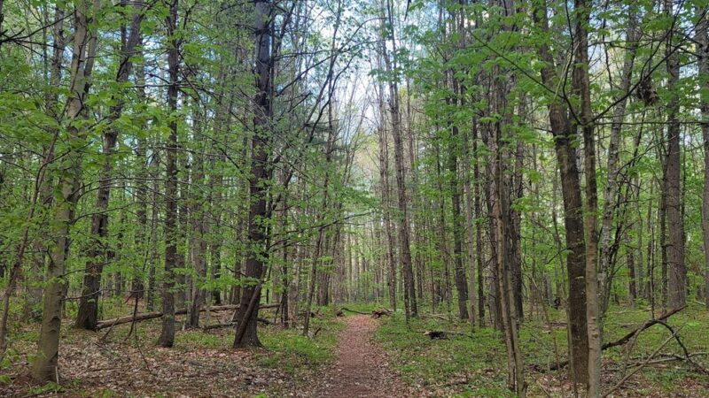 Walden Preserve - Salem, CT