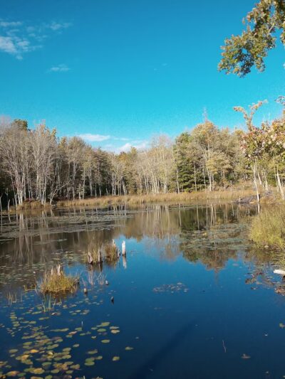 Walden Preserve - Salem, CT