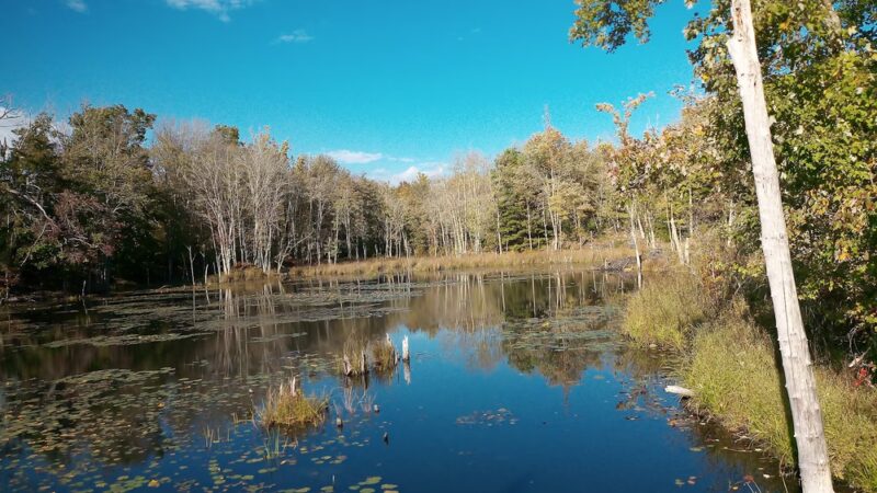 Walden Preserve - Salem, CT