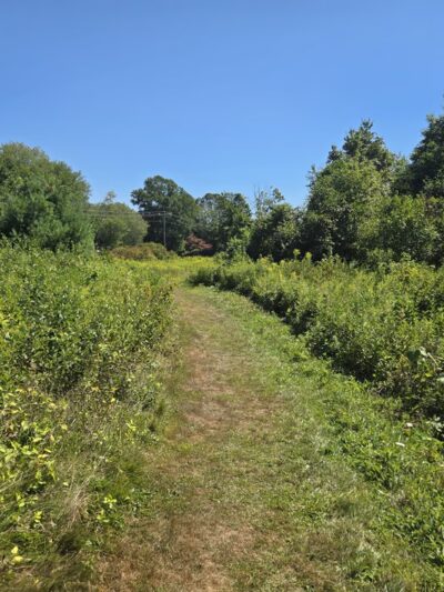 Walden Preserve - Salem, CT