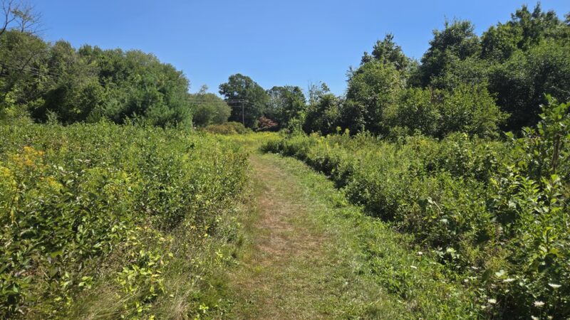 Walden Preserve - Salem, CT