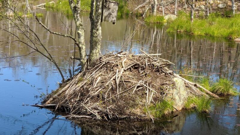 Walden Preserve - Salem, CT