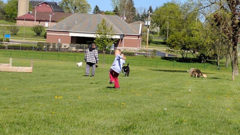 Harris Family Dog Park - Salem Lakes, WI
