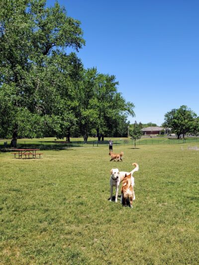 Harris Family Dog Park - Salem Lakes, WI