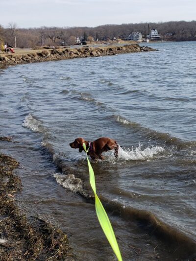 Silver Lake Beach - Salem Lakes, WI