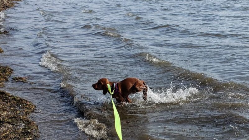 Silver Lake Beach - Salem Lakes, WI