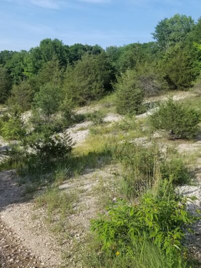 Silver Lake County Park - Salem Lakes, WI