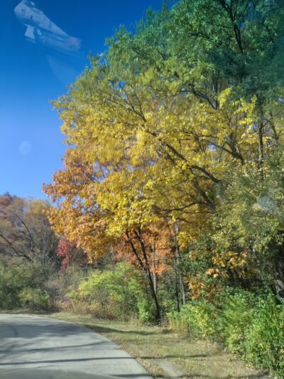 Silver lake park - Salem Lakes, WI