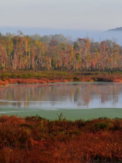 Carter's Pond Nature Trail - Salem, NY