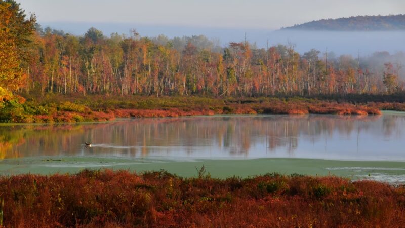 Carter's Pond Nature Trail - Salem, NY