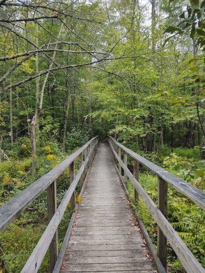 Carter's Pond Nature Trail - Salem, NY