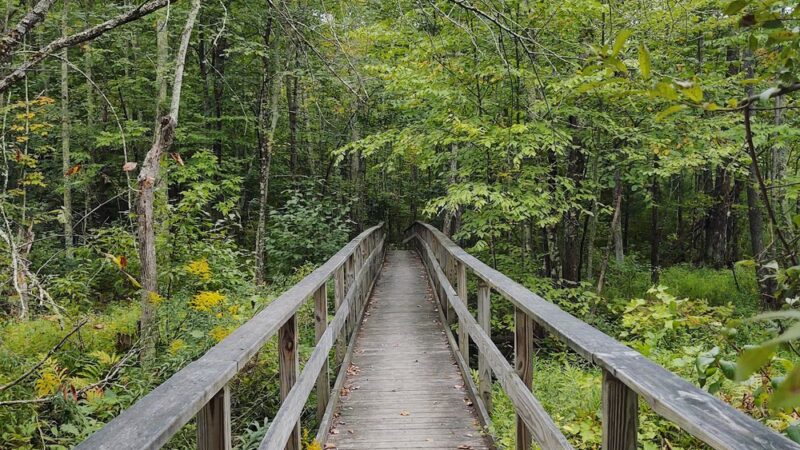 Carter's Pond Nature Trail - Salem, NY