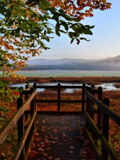 Carter's Pond Nature Trail - Salem, NY