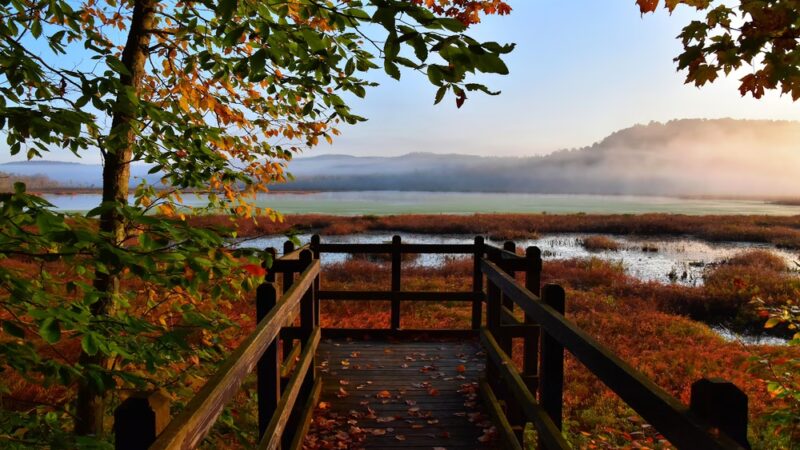 Carter's Pond Nature Trail - Salem, NY