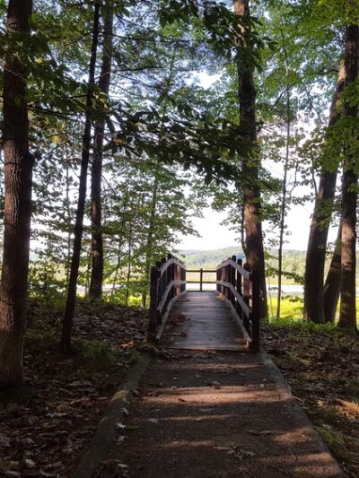 Carter's Pond Nature Trail - Salem, NY