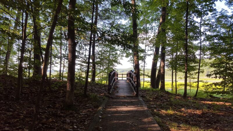 Carter's Pond Nature Trail - Salem, NY