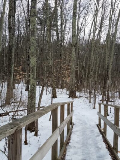 Carter's Pond Nature Trail - Salem, NY