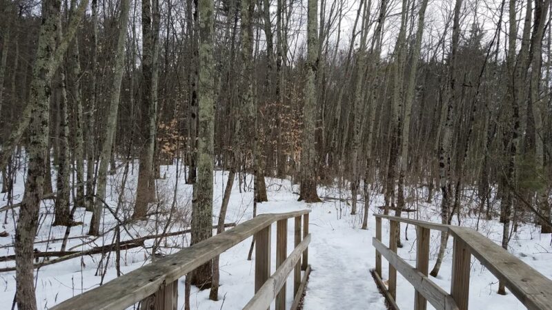 Carter's Pond Nature Trail - Salem, NY