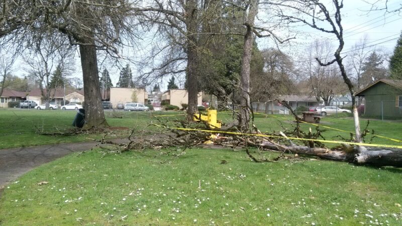 Aldrich Park - Salem, OR