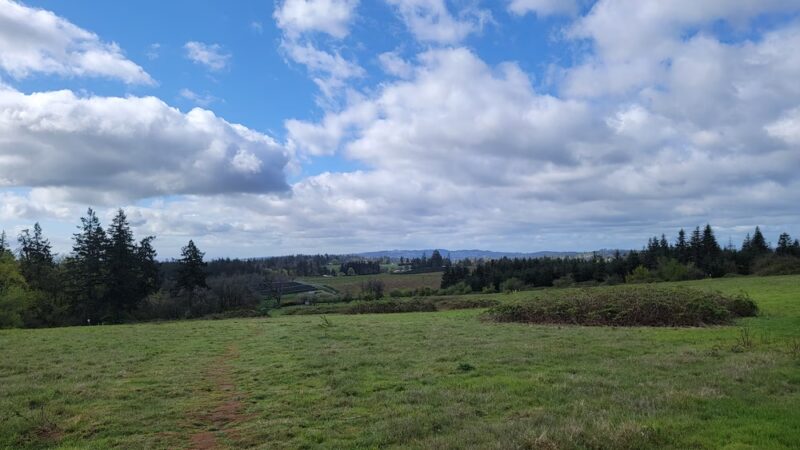 Bonesteele County Park - Salem, OR