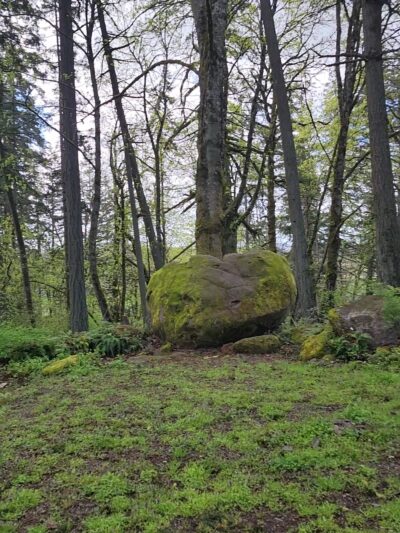 Bonesteele County Park - Salem, OR