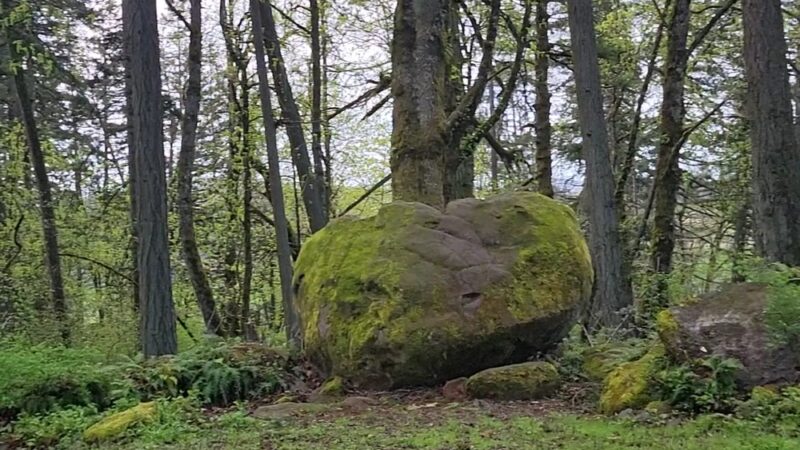 Bonesteele County Park - Salem, OR