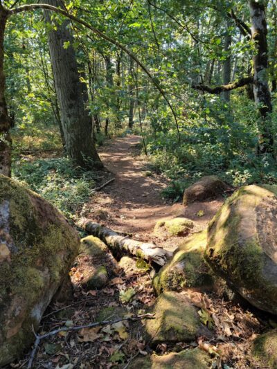 Bonesteele County Park - Salem, OR
