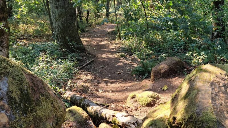 Bonesteele County Park - Salem, OR