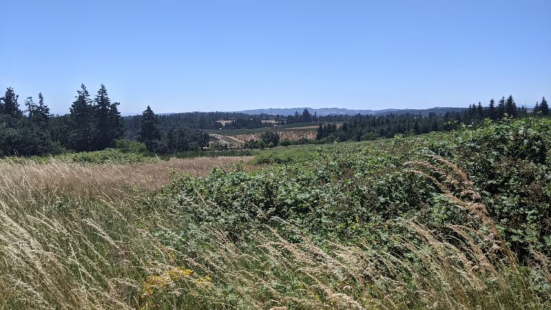 Bonesteele County Park - Salem, OR