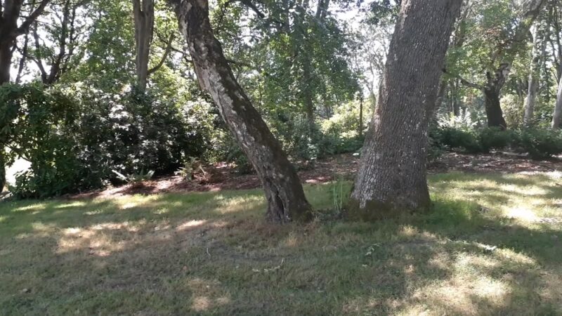 Bush's Pasture Park - Salem, OR