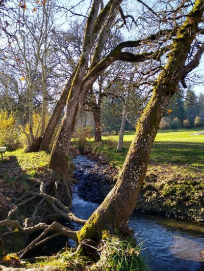 Clark Creek Park - Salem, OR