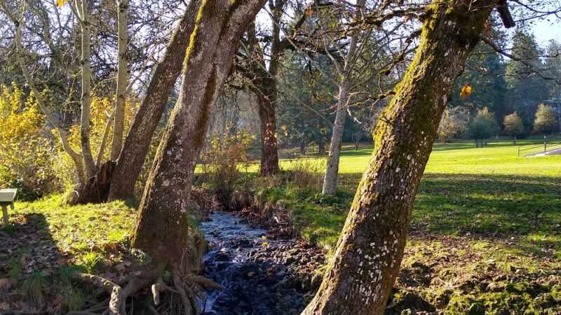 Clark Creek Park - Salem, OR