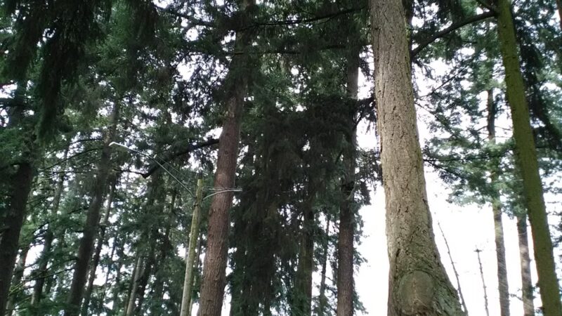 Denny Park - Salem, OR