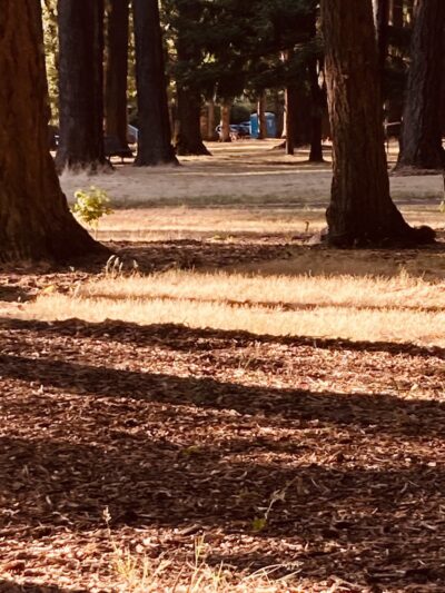 Englewood Park - Salem, OR