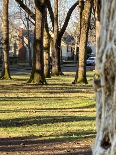 Englewood Park - Salem, OR