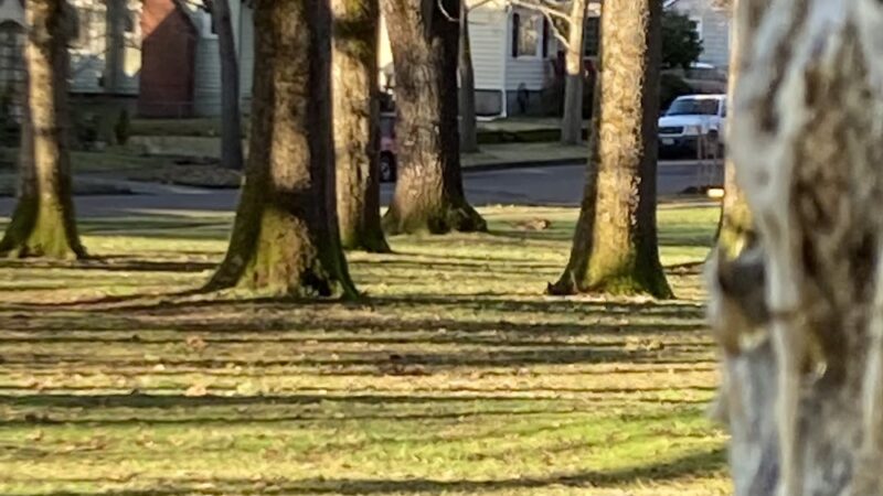 Englewood Park - Salem, OR