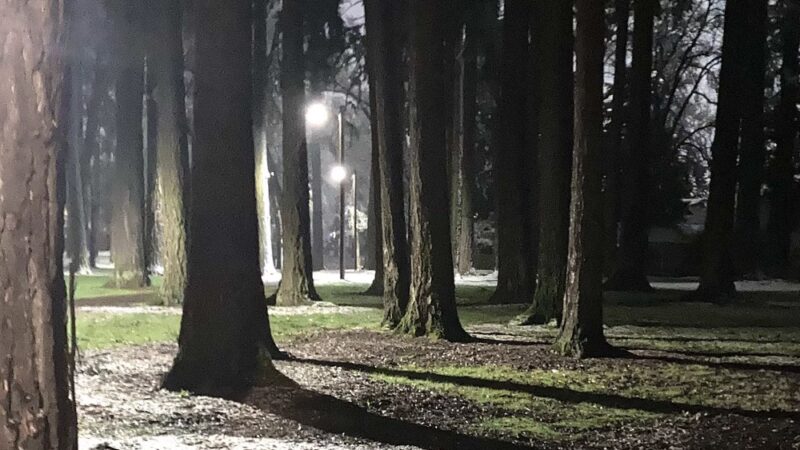 Englewood Park - Salem, OR