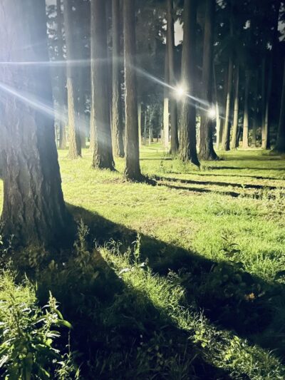 Englewood Park - Salem, OR