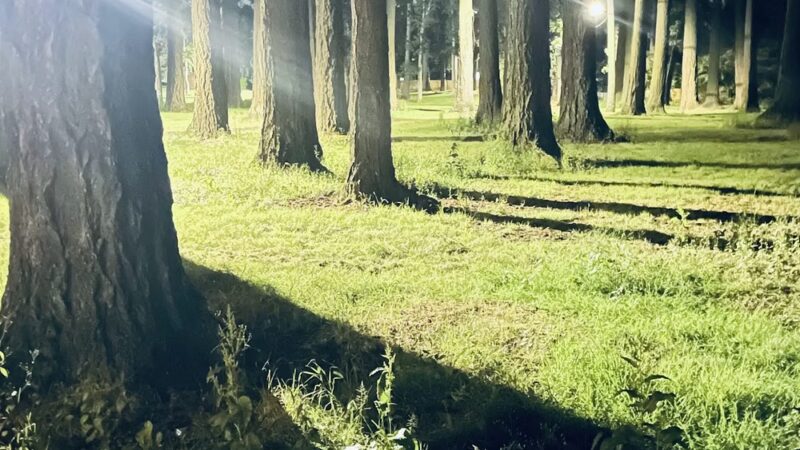 Englewood Park - Salem, OR