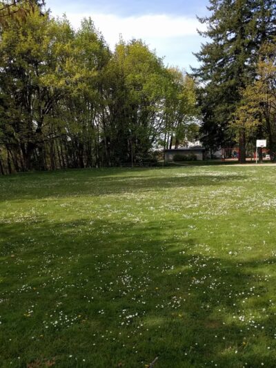 Fairmount City Park - Salem, OR